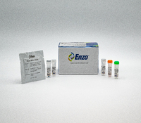 ROS-ID® Total ROS/Superoxide Detection Kit, Enzo Life Sciences