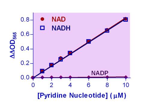 EnzyChrom* NAD/NADH Assay Kit 100 tests