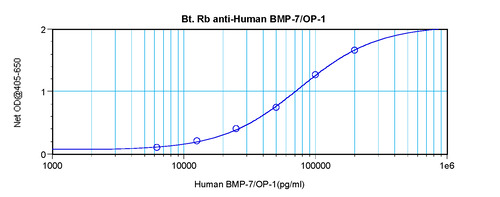 BMP-7 Antibody