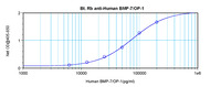 Anti-BMP7 Rabbit Polyclonal Antibody (Biotin)