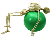 Rudiger® Physiology Skeleton