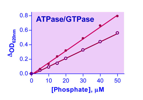 QuantiChrom* ATPase Assay Kit 200 tests