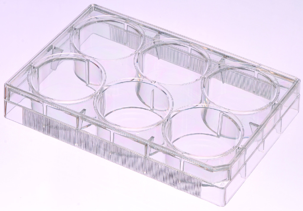 VWR® Multiwell Cell Culture Plates Cell Culture Plates