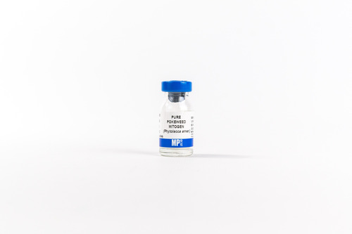 ImmunO* Pure Pokeweed Mitogen 1mg