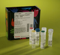 Pierce™ 1-Step Human In Vitro Protein Expression Kits, Thermo Scientific