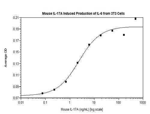 Mouse Recombinant IL-17A (from <i>E. coli</i>)