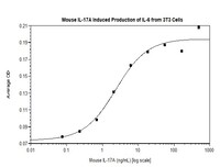 Mouse Recombinant IL-17A (from E. coli)