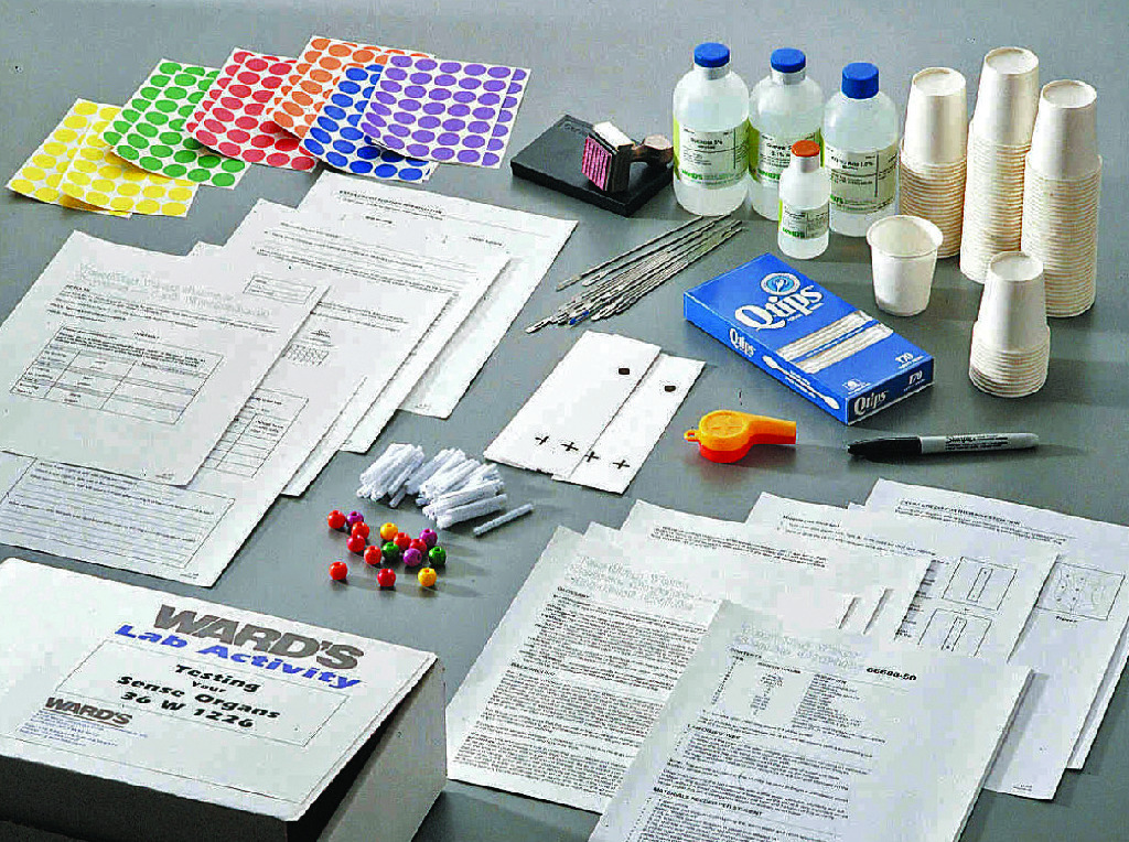 Ward's® Testing Your Sense Organs Lab Activity | Educational Classroom ...
