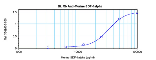 SDF-1a Antibody