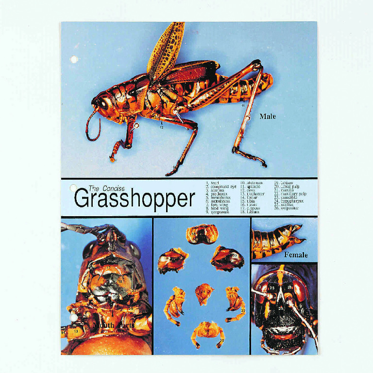 Biocam Concise Photographic Dissection Guides | Ecology Learning Activities