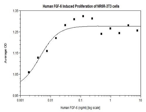 Human Recombinant FGF-6 (from <i>E. coli</i>)