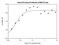Human Recombinant FGF-6 (from E. coli)