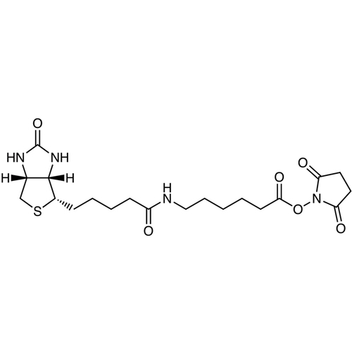 N-Succinimidyl 6-Biotinamidohexanoate ≥97.0% (by HPLC)