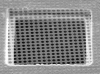 Quantifoil® Holey Carbon Films, Electron Microscopy Sciences