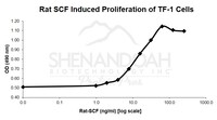 Rat Recombinant SCF (from E. coli)