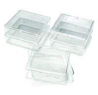 Owl™ Gel Staining Box, Thermo Scientific