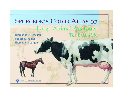 BOOK SPURGEONS ATLAS OF LGE ANIMAL ANAT