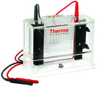 Owl™ Single Sided Vertical Electrophoresis System, Model P81, Thermo Scientific
