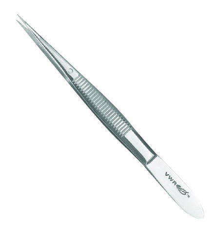 VWR* Dissecting Forceps