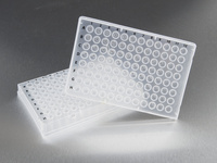 PCR Plates, Sorenson BioScience