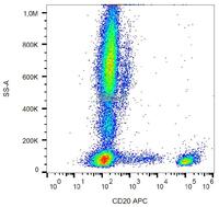 Anti-CD20 Mouse Monoclonal Antibody [Clone: LT20] (APC (Allophycocyanin))