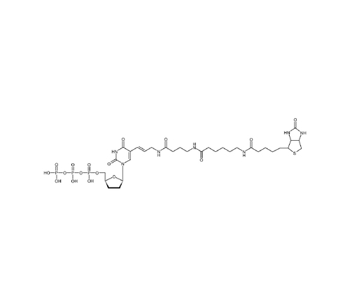 Bio-16-Ddutp . Tetralithium Salt 25 Nmol