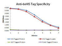 Anti-6xHis Mouse Monoclonal Antibody (Biotin) [clone: 14A231]