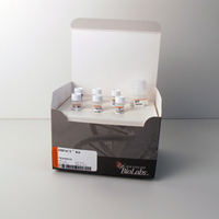 IMPACT™ Kit for Protein Purification, New England Biolabs