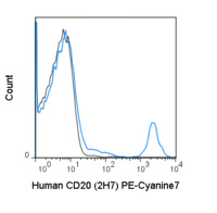 Anti-CD20 Mouse Monoclonal Antibody (PE-Cyanine7) [clone: 2H7]