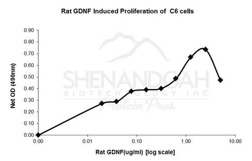 Rat Recombinant GDNF (from <i>E. coli</i>)