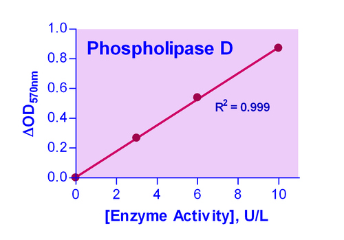 EnzyChrom* Phospholipase D Assay Kit 100tests