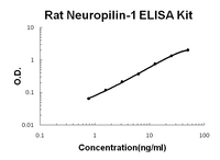 Rat Neuropilin-1 PicoKine ELISA Kit, Boster