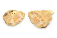 Ward's® Pure Preserved Sheep Brains with Simulated Tumors