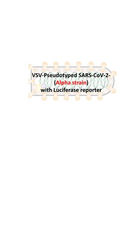 VSV-Pseudovirus_SARS-CoV-2 Alpha Luciferase, ReVacc Scientific