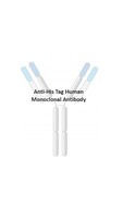 Anti-His Tag Human Monoclonal Antibody [clone: hRV7]