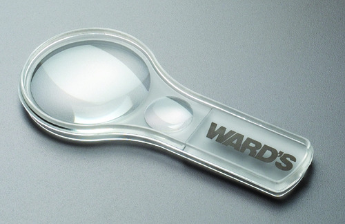 Ward's® Dual Magnifier