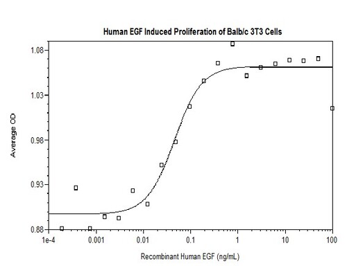 Human Recombinant EGF (from <i>E. coli</i>)