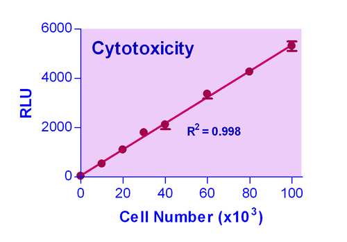 EnzyLight* Cytotoxicity Assay Kit 100 tests