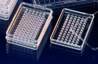 Nunclon™ Delta 96-Well MicroWell™ Terasaki-Style Plates, Sterile, Thermo Scientific