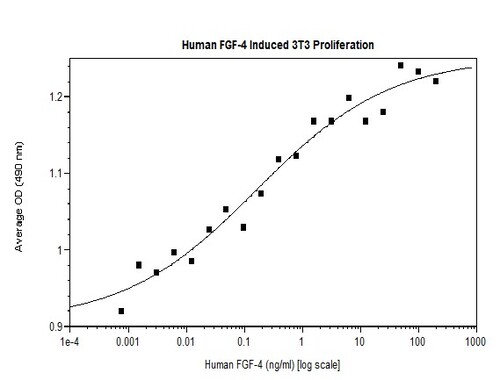 Human Recombinant FGF-4 (from E. coli)