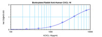 Anti-CXCL16 Rabbit Polyclonal Antibody (Biotin)