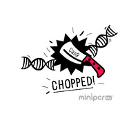 miniPCR® Chopped! Using CRISPR/Cas9 to Cut DNA