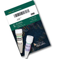 SalI-HF®, Restriction Enzymes, New England Biolabs