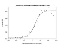 Human Recombinant PDGF-BB (from E. coli)