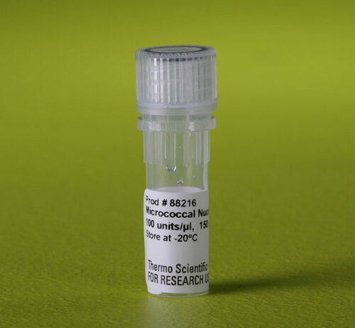 Micrococcal Nuclease 150uL