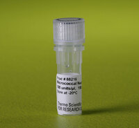 Pierce™ Micrococcal Nuclease Solution, Thermo Scientific