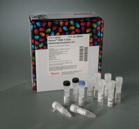 Pierce™ RNA 3' End Desthiobiotinylation Kit, Thermo Scientific