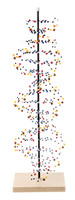 Kemtec® DNA Molecular Model Kit