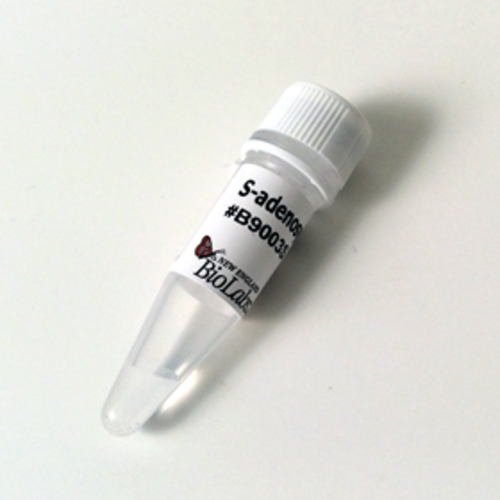S-adenosylmethionine (SAM) 0.5 ml
