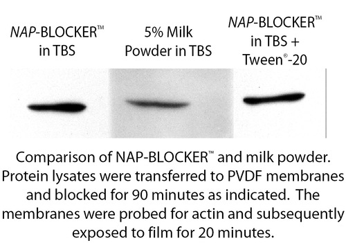 Blocking agent, NAP-BLOCKER 2X